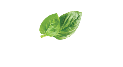 Logo Via Baseli